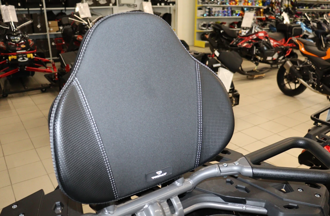 Квадроцикл PROMAX RENEGADE 300 LONG WINCH PRO в Йошкар-Оле