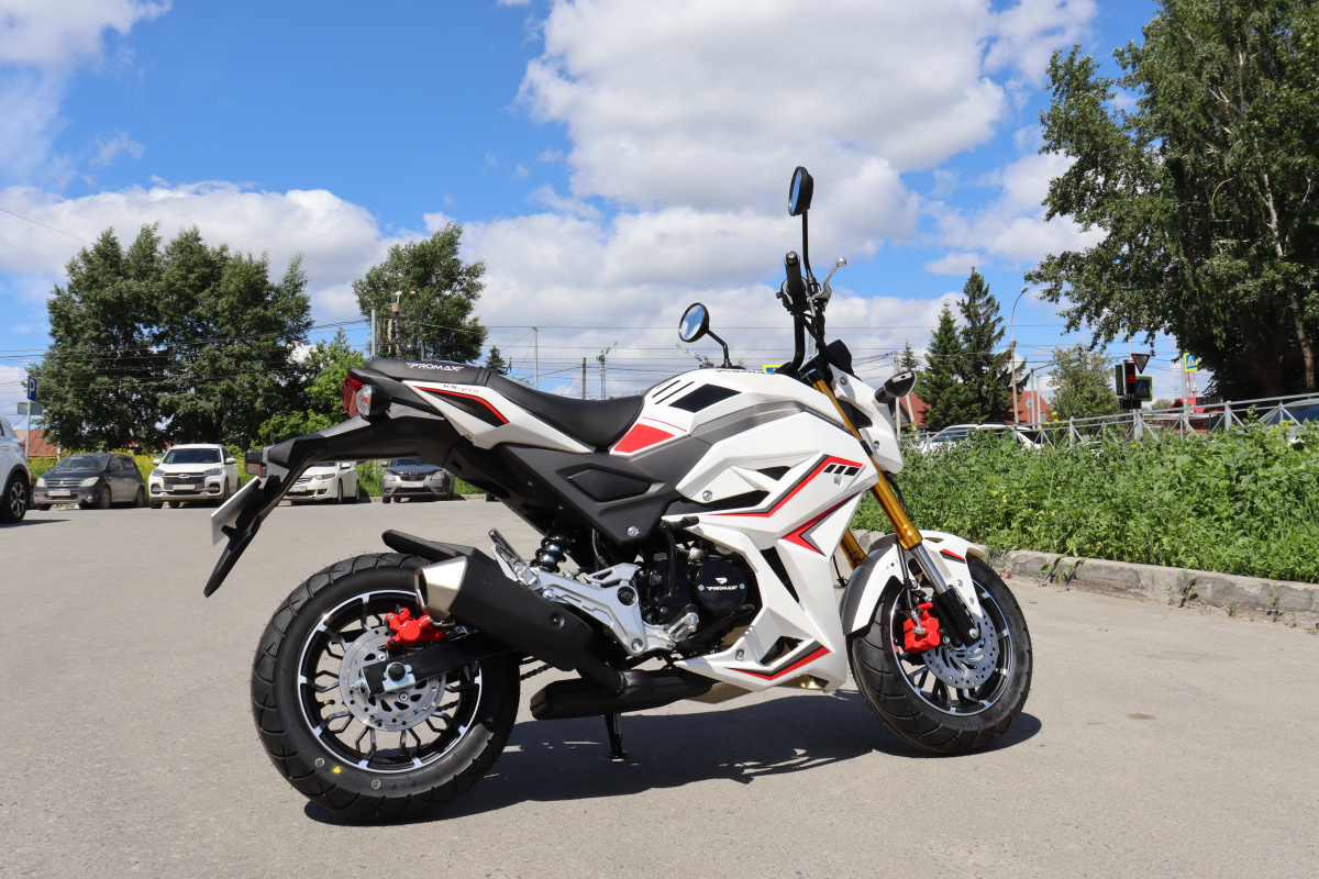 Мотоцикл PROMAX STRYKER 200(49) 2.0 в Йошкар-Оле