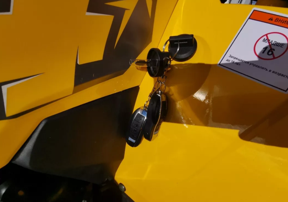 Квадроцикл MOTOLAND (МОТОЛЕНД) VOX200 WILD TRACK X PRO (баланс. вал) в Йошкар-Оле