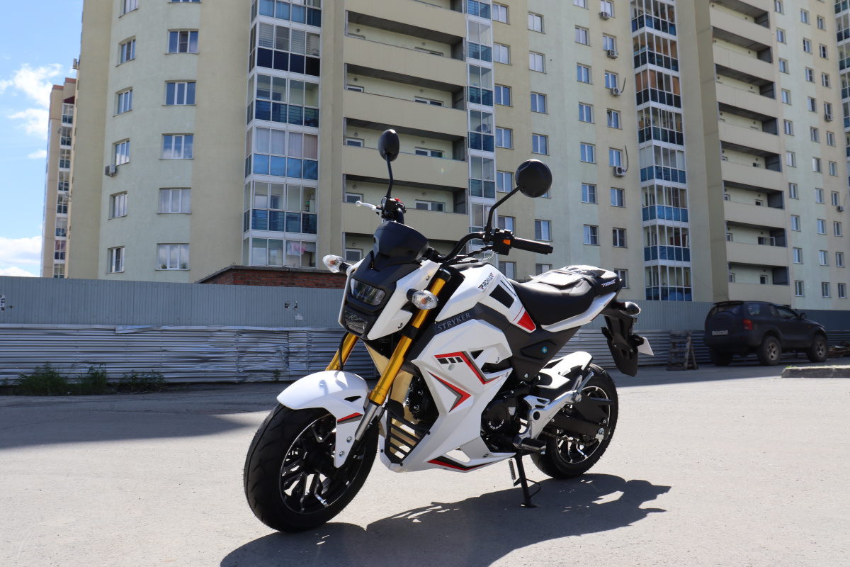 Мотоцикл PROMAX STRYKER 200(49) 2.0 в Йошкар-Оле