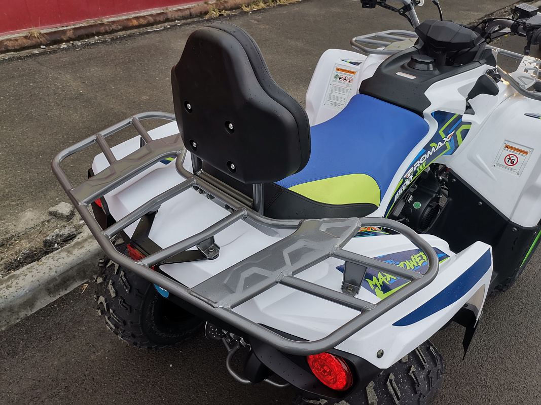Квадроцикл PROMAX RENEGADE 280 LUX в Йошкар-Оле