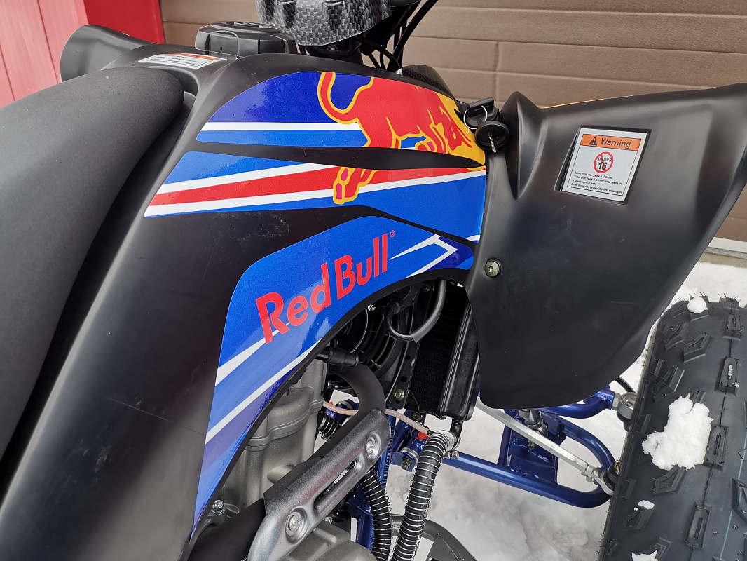 Квадроцикл PROMAX RAPTOR 300 NEW RedBull в Йошкар-Оле