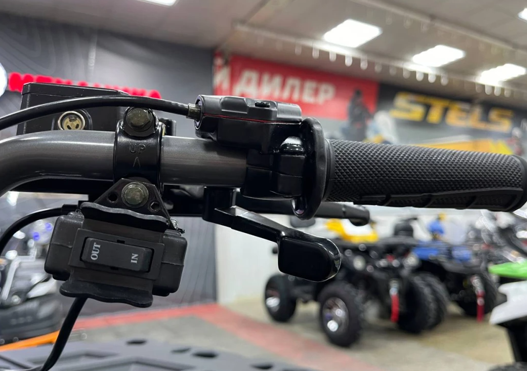 Квадроцикл PROMAX RENEGADE 300 LONG WINCH PRO в Йошкар-Оле