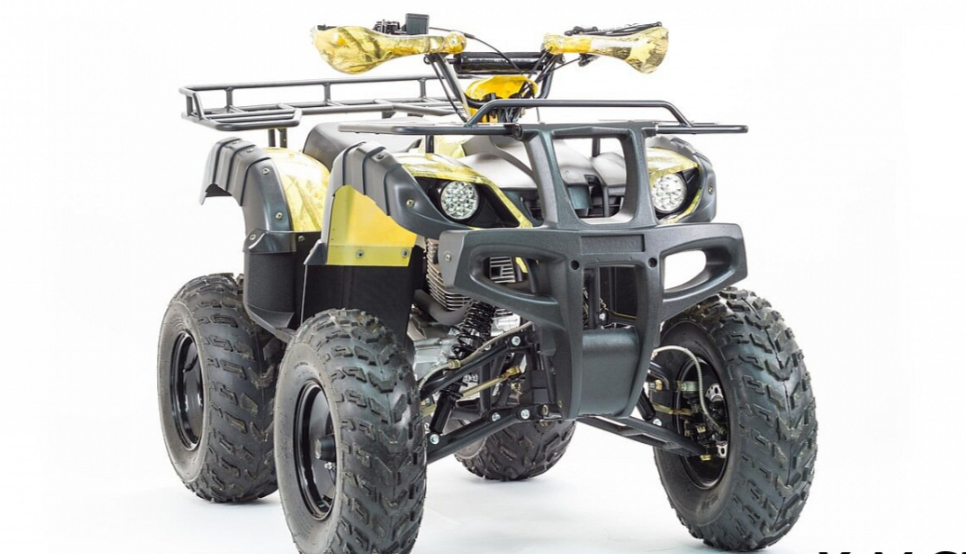 Квадроцикл MOTOLAND (МОТОЛЕНД) 250 ADVENTURE в Йошкар-Оле