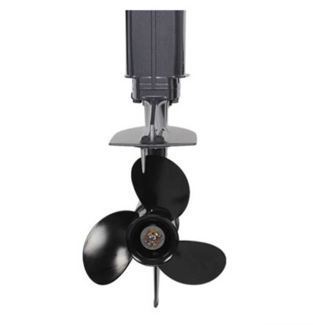 Лодочный мотор ALLFA CG Т40FW S в Йошкар-Оле