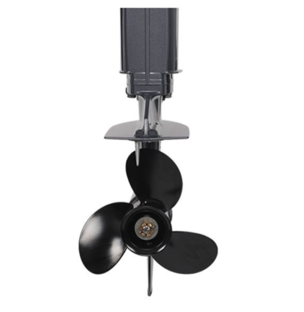 Лодочный мотор ALLFA CG Т40FWT S в Йошкар-Оле