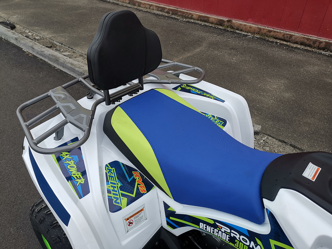 Квадроцикл PROMAX RENEGADE 280 LUX в Йошкар-Оле