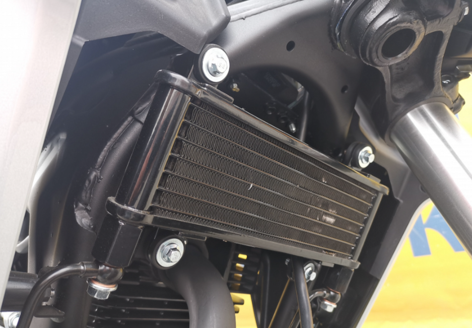 Мотоцикл MOTOLAND (МОТОЛЕНД) 250 CB250 (172FMM-5/PR250) (2022 г.) в Йошкар-Оле