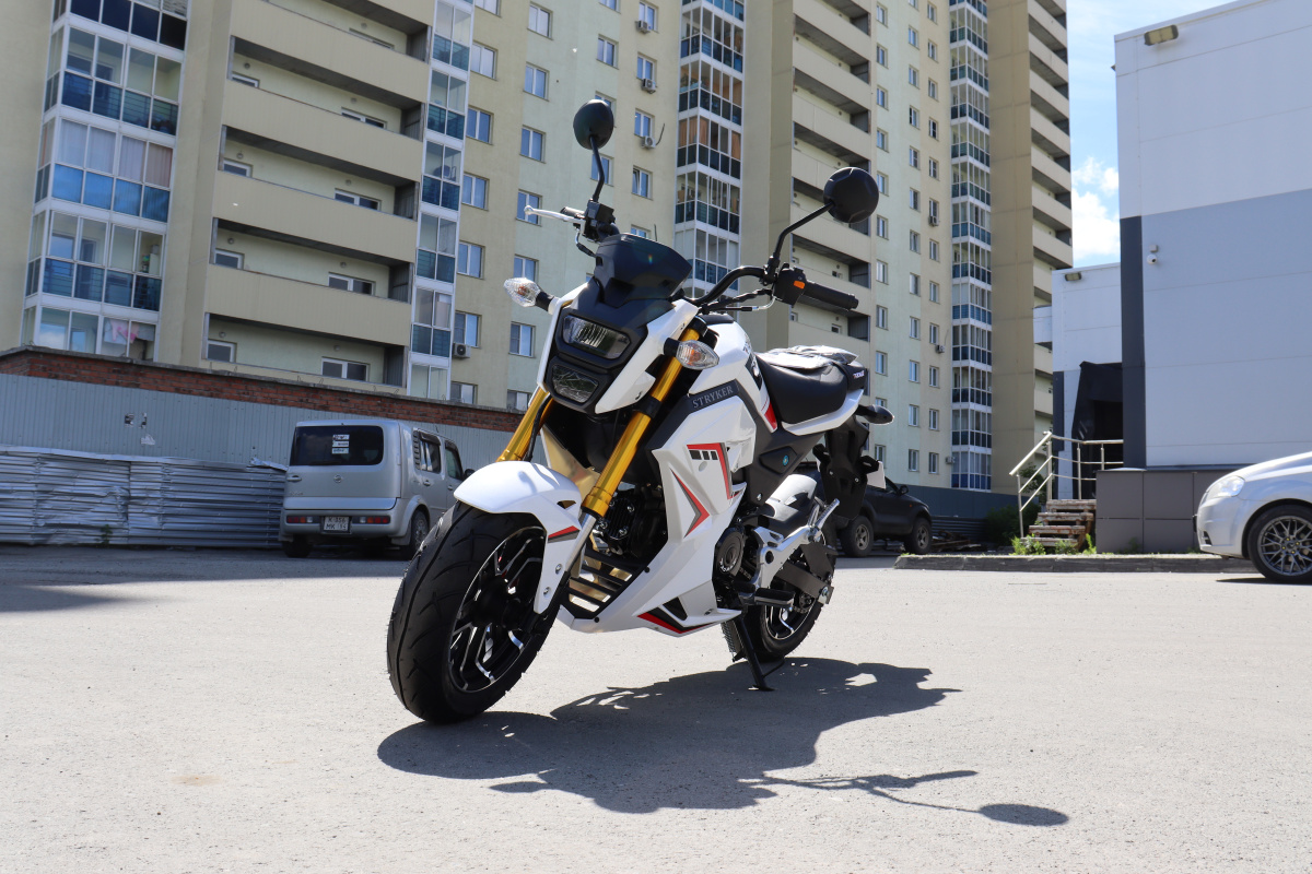 Мотоцикл PROMAX STRYKER 200(49) 2.0 в Йошкар-Оле