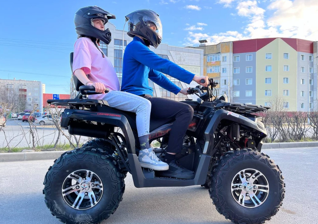 Квадроцикл PROMAX RENEGADE 300 LONG WINCH PRO в Йошкар-Оле