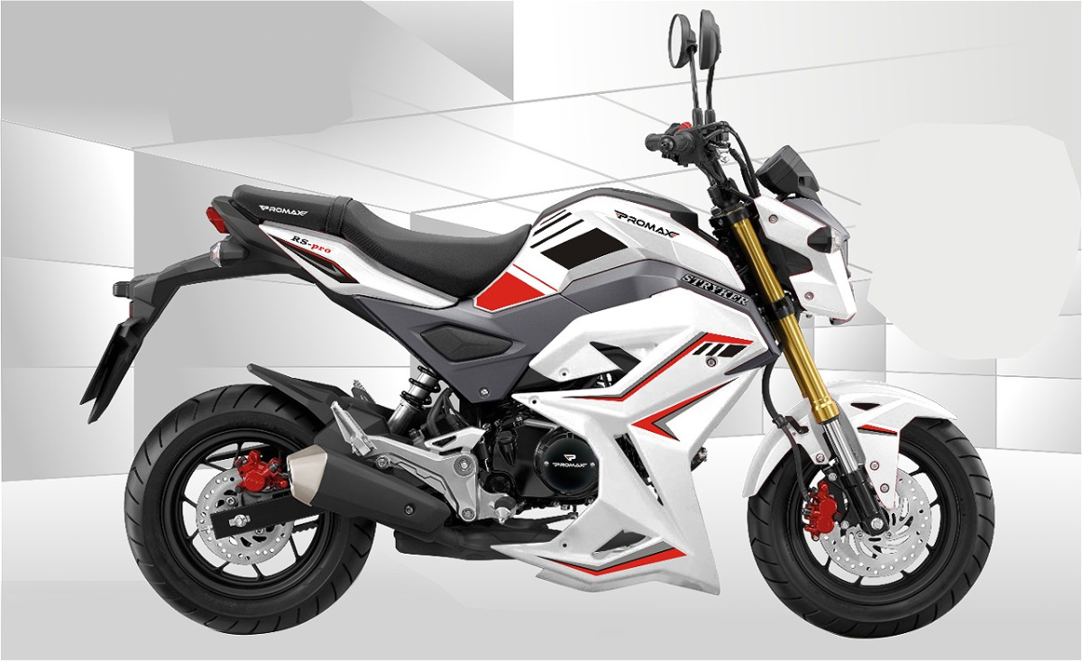 Мотоцикл PROMAX STRYKER 200(49) 2.0 в Йошкар-Оле