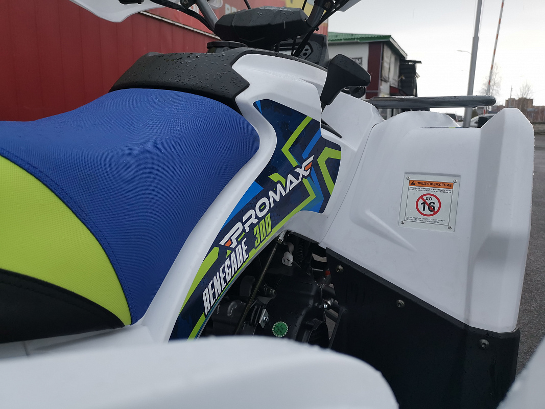 Квадроцикл PROMAX RENEGADE 280 LUX в Йошкар-Оле