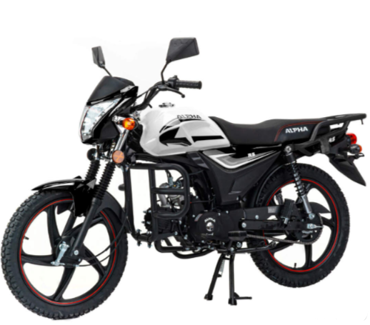 Мопед MOTOLAND (МОТОЛЕНД) Альфа RS 11 (LM48-B) в Йошкар-Оле