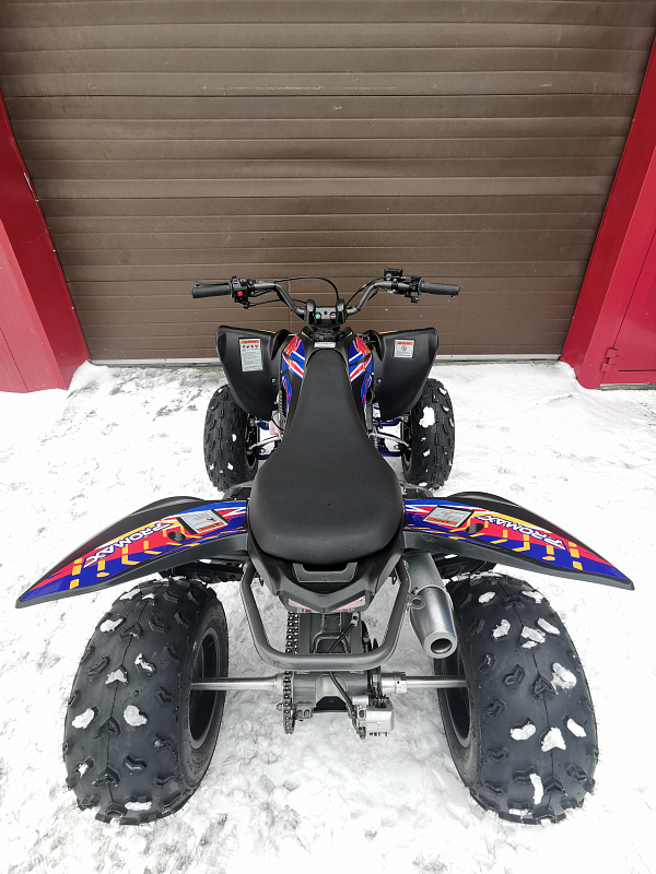 Квадроцикл PROMAX RAPTOR 300 NEW RedBull в Йошкар-Оле
