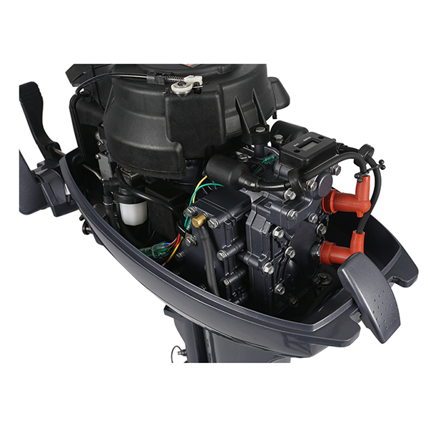 ЛОДОЧНЫЙ МОТОР ALLFA CG Т9,9 Limit в Йошкар-Оле