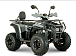 Квадроцикл YACOTA DRAGON LUX LD 150 PRO-SPORT в Йошкар-Оле