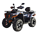 Квадроцикл MOTOLAND (МОТОЛЕНД) 300 MAX X в Йошкар-Оле