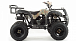 Квадроцикл MOTOLAND (МОТОЛЕНД) 200 ALL ROAD в Йошкар-Оле