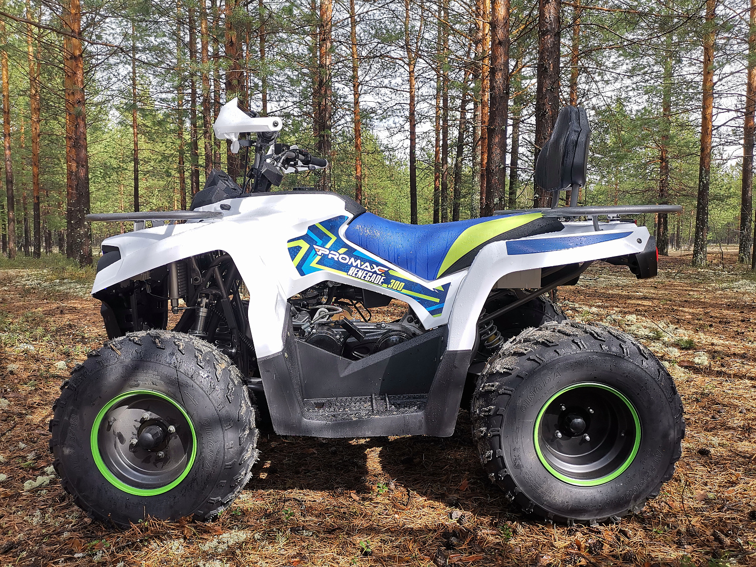 Квадроцикл PROMAX RENEGADE 280 в Йошкар-Оле