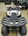 Квадроцикл PROMAX WILD 2.0 190 в Йошкар-Оле