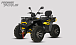 Квадроцикл PROMAX TAURUS 300 MAX-PRO LONG в Йошкар-Оле